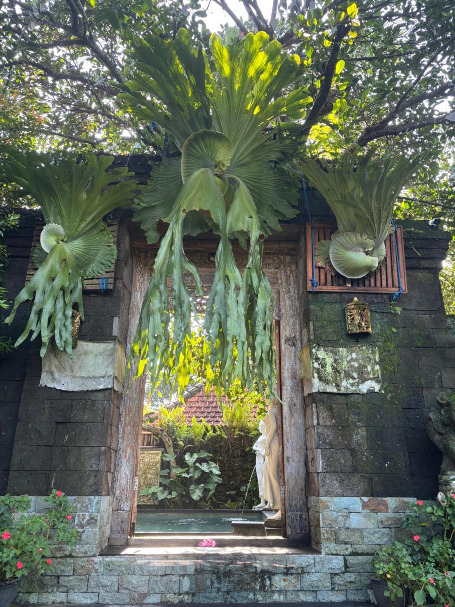 Bumbung Sari Villa Ubud Kültér fotó