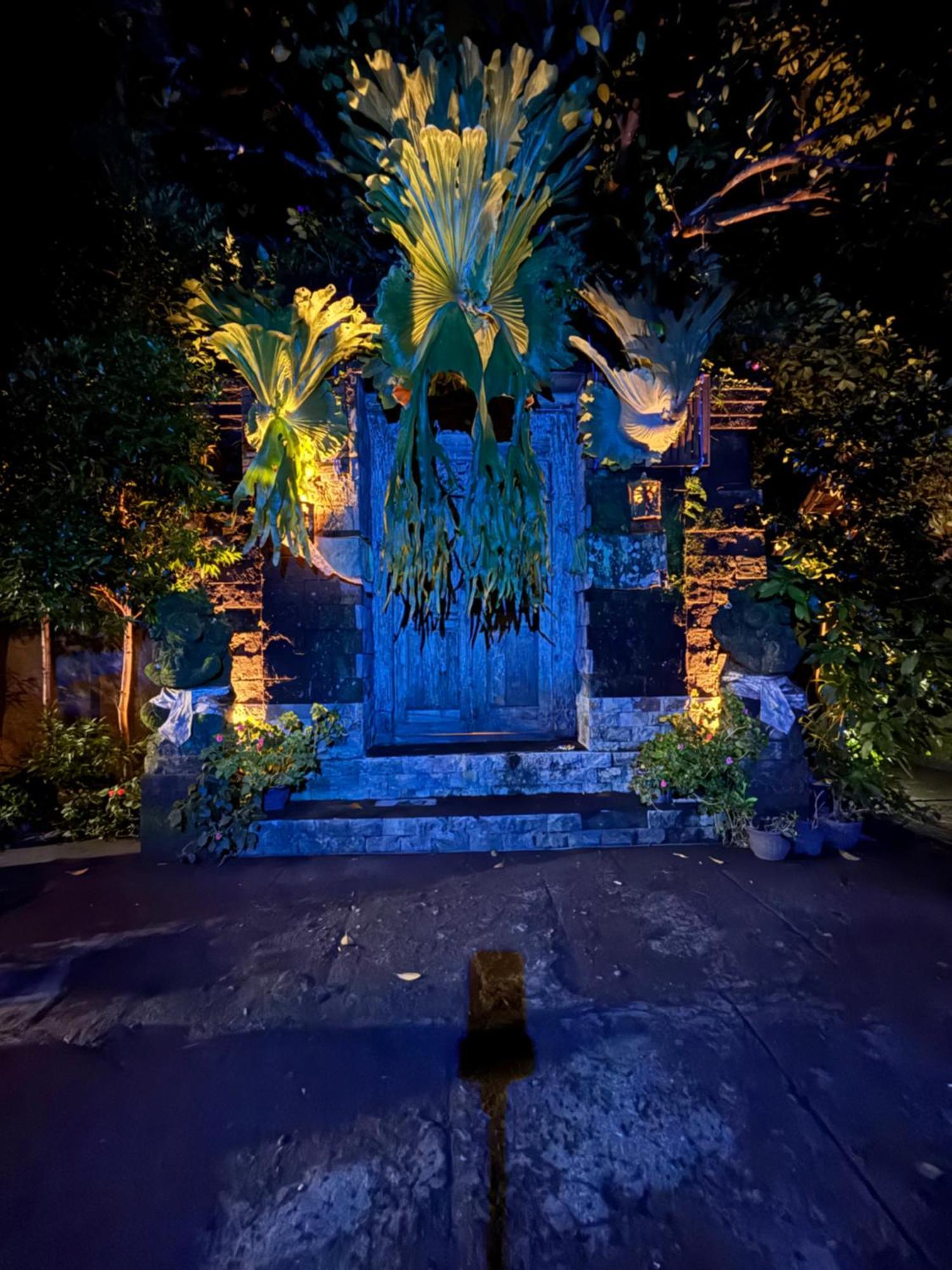 Bumbung Sari Villa Ubud Kültér fotó