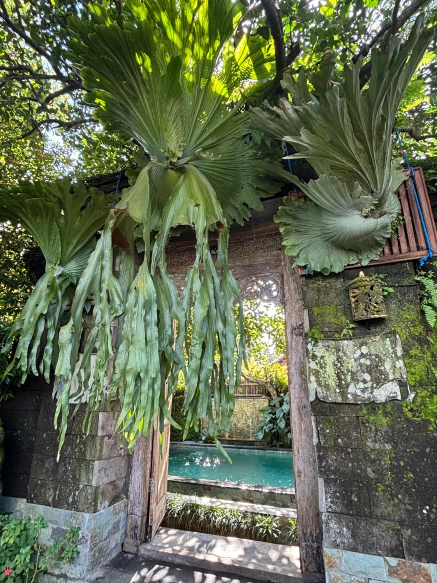 Bumbung Sari Villa Ubud Kültér fotó
